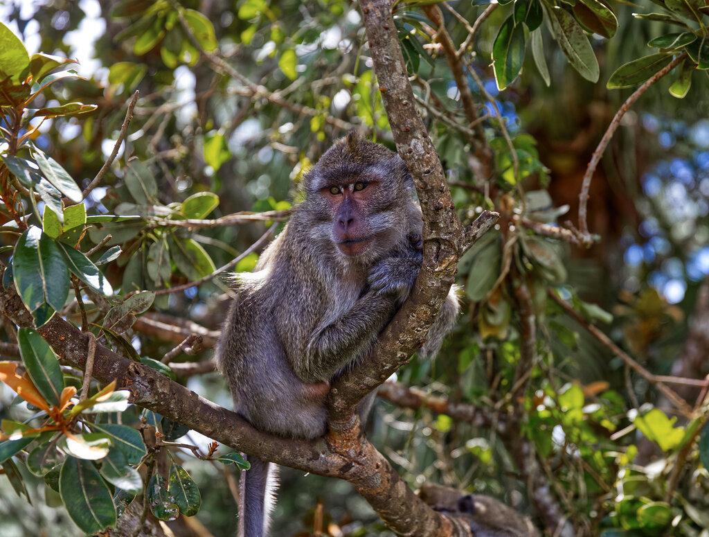 1H5A6518a | ansichtssache