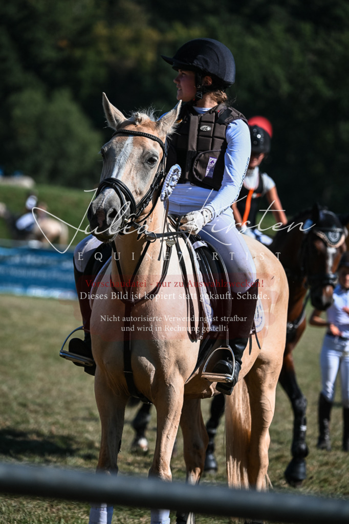 DSC_7011 | Pferde- und Turnierfotografie in Westsachsen. Pferdeportraits, Auftragszeichnungen und intuitive Kunst.