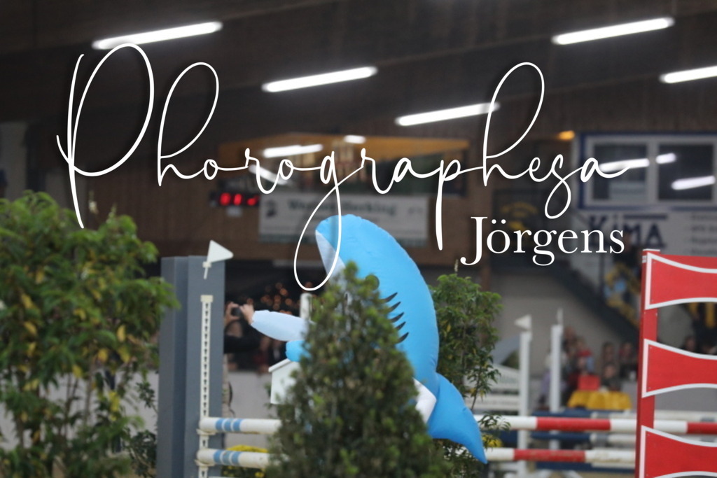 IMG_1894 | photographesa-joergens - Realisiert mit Pictrs.com