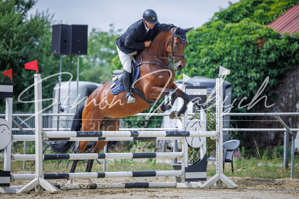 20260705-_3LI4176 | Tierfotografie Pferde, Hunde, Katzen, Haustiere.
Turnierfotografie Reitturniere, Reiten, Springreiten, Dressur in Hanau, dem Main-Kinzig-Kreis und dem Rhein-Main- Gebiet um Frankfurt