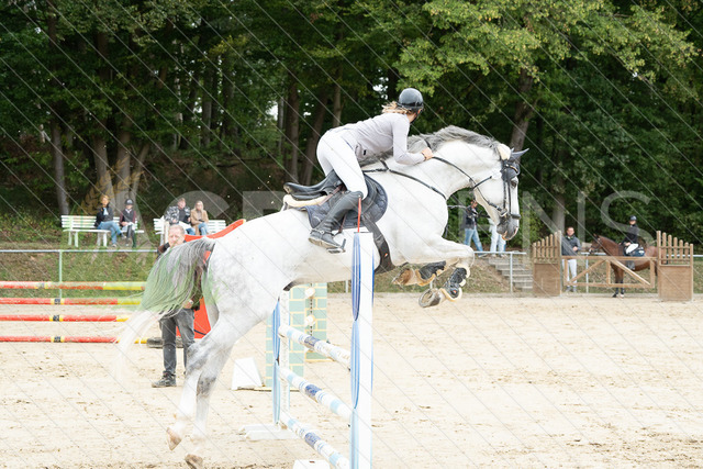 DSC08405 | Agrolens Media & Dienstleistungen - Realisiert mit Pictrs.com