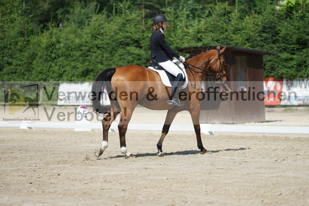 DSC01545 | equestrian-live-com