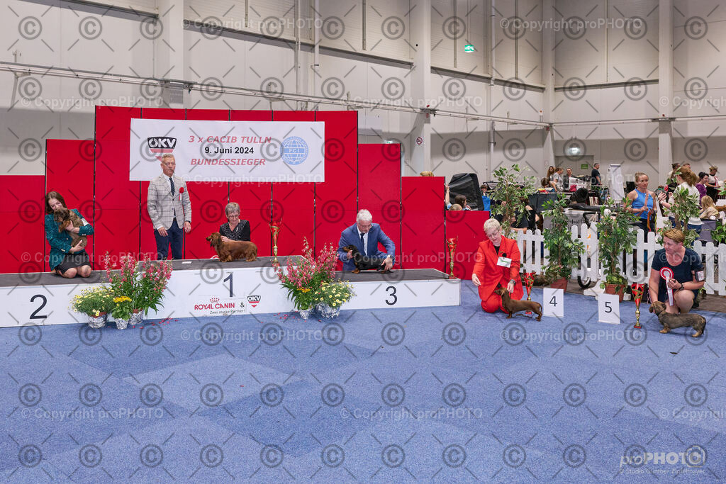 202406_ÖKV-IHA-Tulln24_NZ9_9517 | proPHOTO - Realisiert mit Pictrs.com