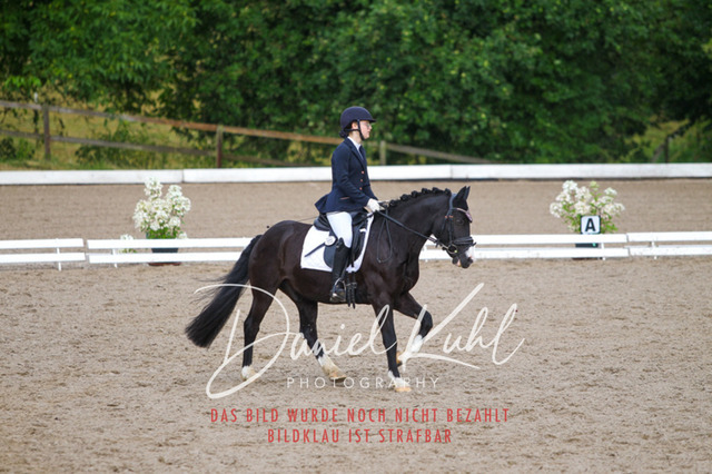 DKP46948 | Turniersportfotografie; Pferdefotografie; Dressurfotografie