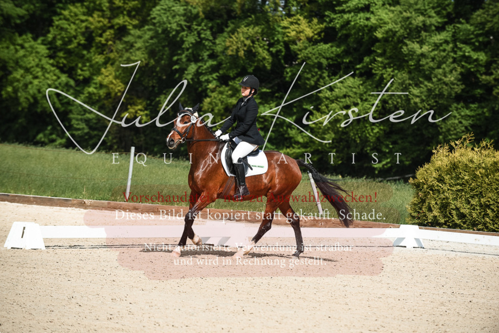 20230518_JK-Röhrsdorf-12-0030 | Pferde- und Turnierfotografie in Westsachsen. Pferdeportraits, Auftragszeichnungen und intuitive Kunst.