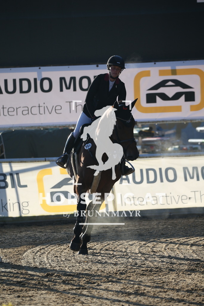 DL2Q0502 | Willkommen bei Brunnmayr - Design & Fotografie – Ihrem Spezialisten für Reitturniere und Pferdeveranstaltungen in Oberösterreich, Salzburg und Bayern! Seit über 17 Jahren sind wir leidenschaftlich dabei.