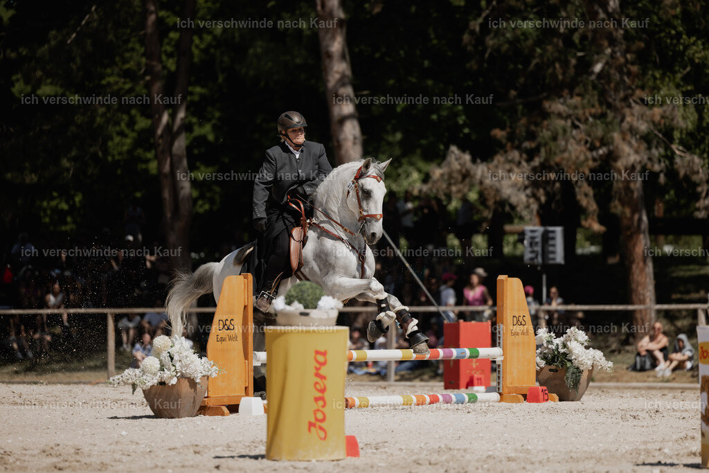 WE_SP_Stoib_321_PI2025_1568 | Pferd International München 2025