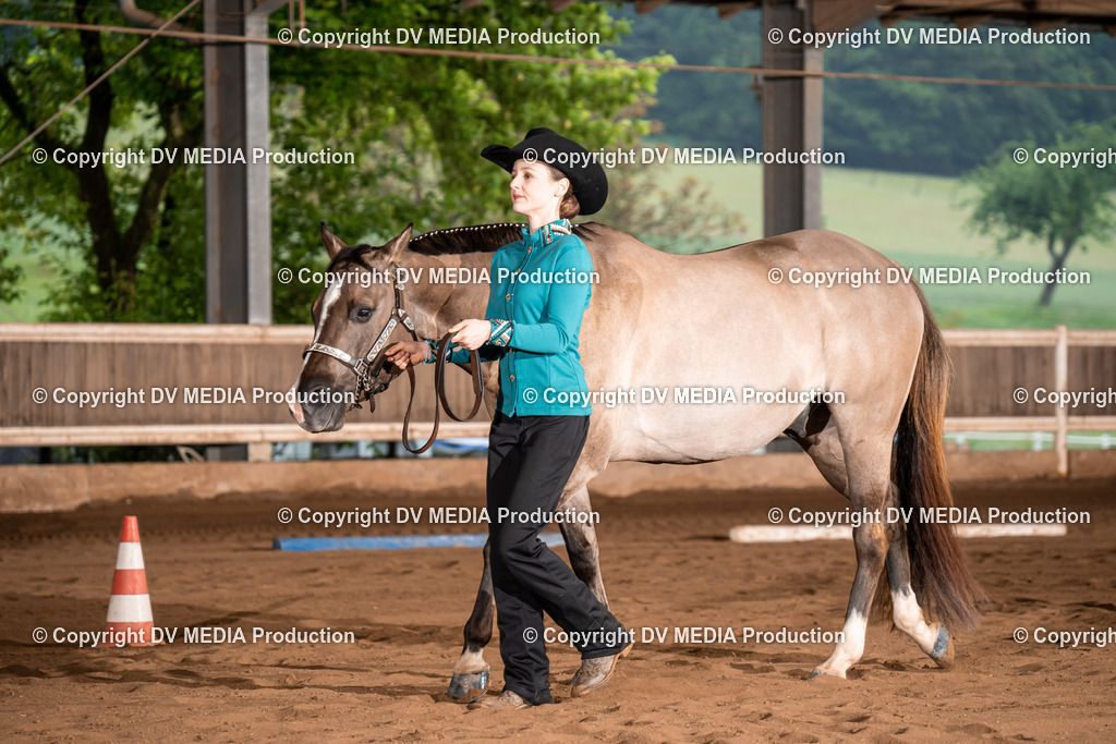 Erbach Tag 2-220 | dv-media-shop - Realisiert mit Pictrs.com