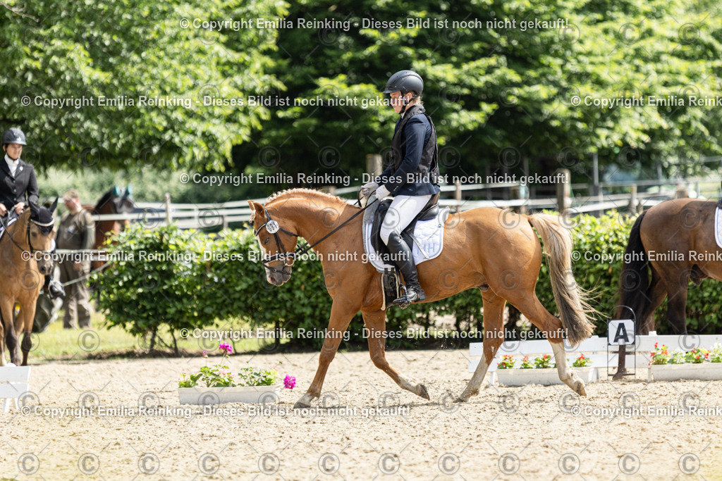 CL5A8081 | Emilia Reinking Fotografie - Realisiert mit Pictrs.com