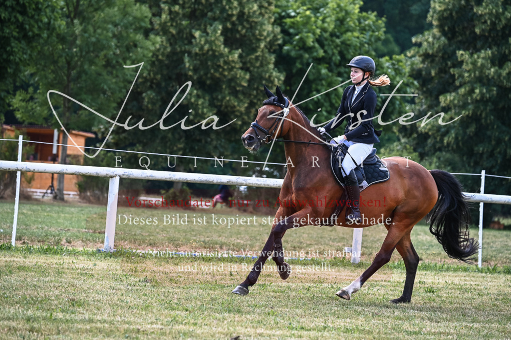 DSC_8474 | Pferde- und Turnierfotografie in Westsachsen. Pferdeportraits, Auftragszeichnungen und intuitive Kunst.