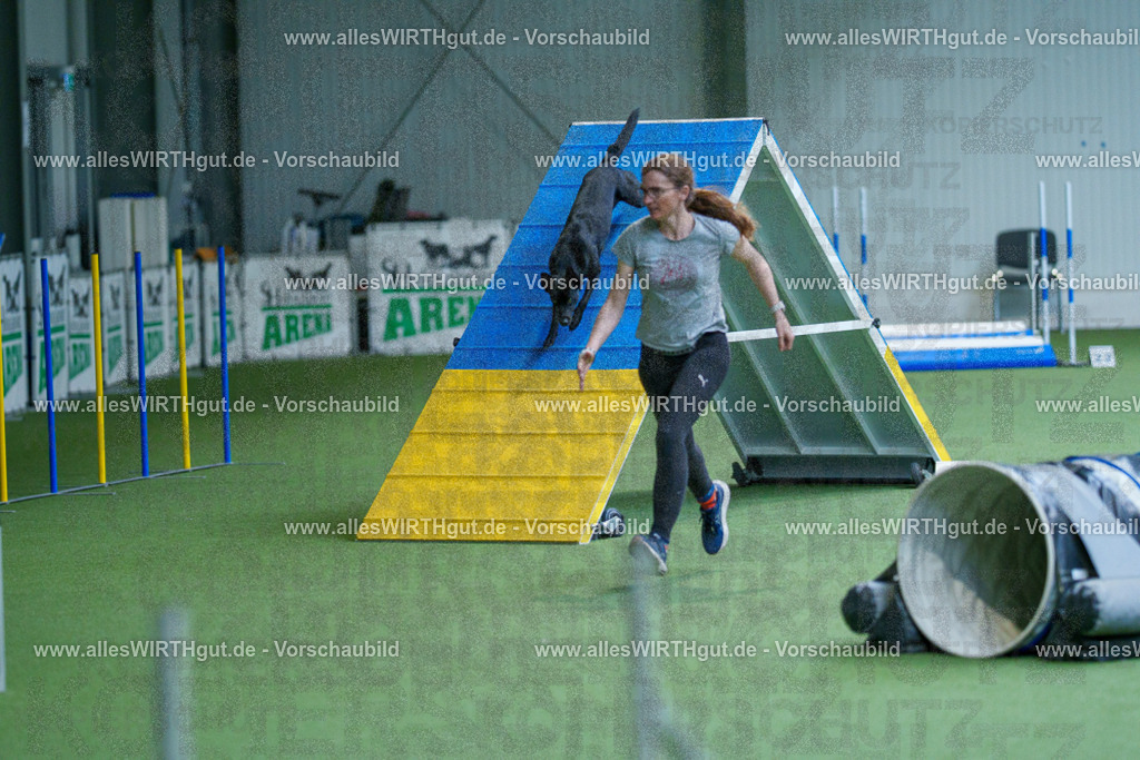 @allesWIRTHgut_Tierfotografie - www.allesWIRTHgut.de - 2604261515-7R505021 | Professionelle Tierfotografie in Mönchengladbach von Daniel Wirth (allesWIRTHgut). Liebevolle & natürliche Bilder von Hunden & Katzen für unvergessliche Erinnerungen.