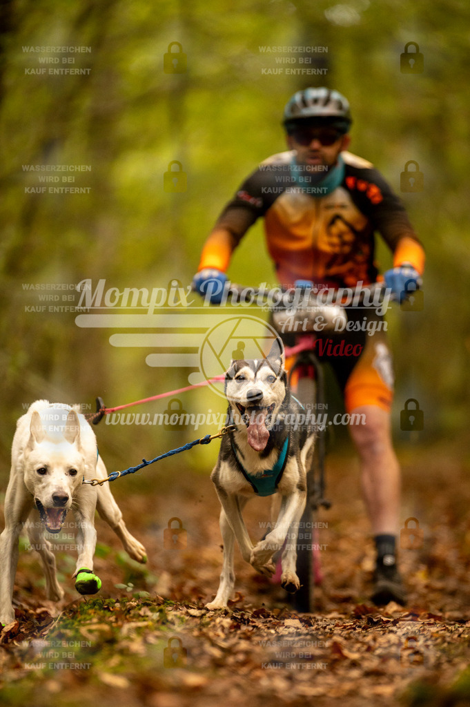 TSB_2023_E1_DS2-8 | mompixphotography