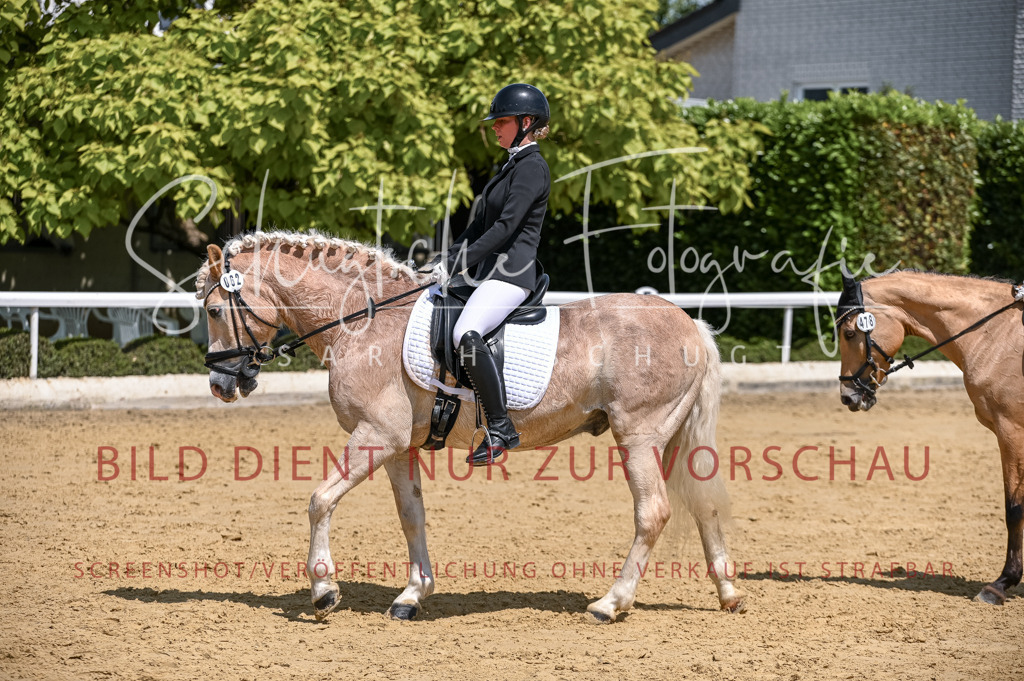 Schugtsche-Aluta25-53.Amat.Dressurprf.A2-424 | Schugtsche Fotografie - Realisiert mit Pictrs.com