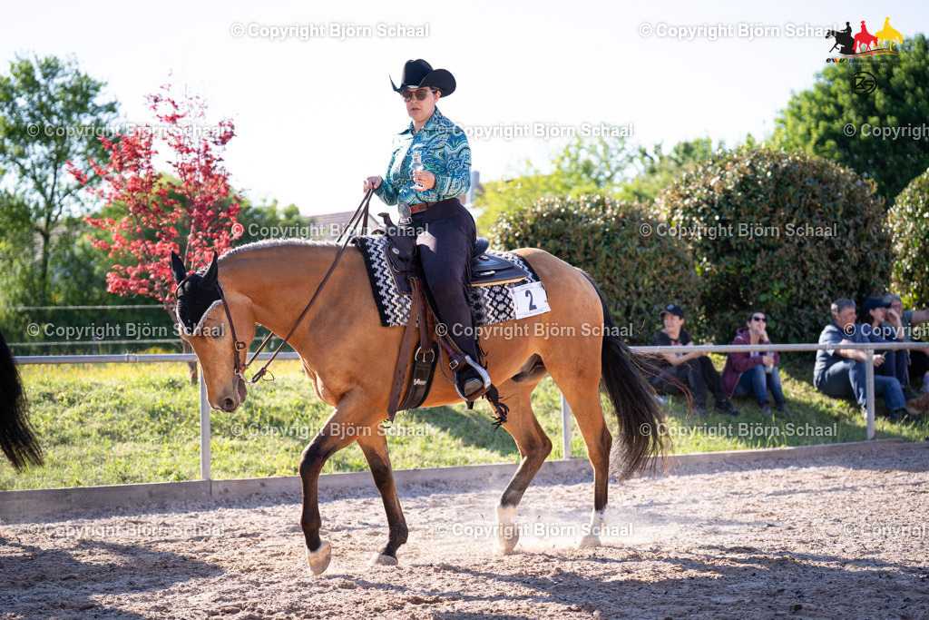 LMB08409 | BS-foto