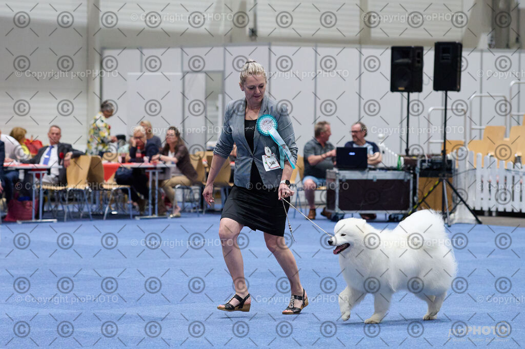 202406_ÖKV-IHA-Tulln24_DSC_3029 | proPHOTO - Realisiert mit Pictrs.com