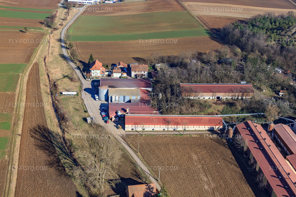 Aerial view: AUTO PIECES 67 in Preuschdorf in the state Bas-Rhin, France.Photo: IMG_37426.jpg taken on 02/07/2011 by Werner Riehm/FLY-FOTO.comResolution of the original: 4752 x 3168 px