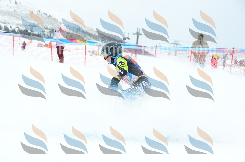 DSC_1301 | holidayphoto