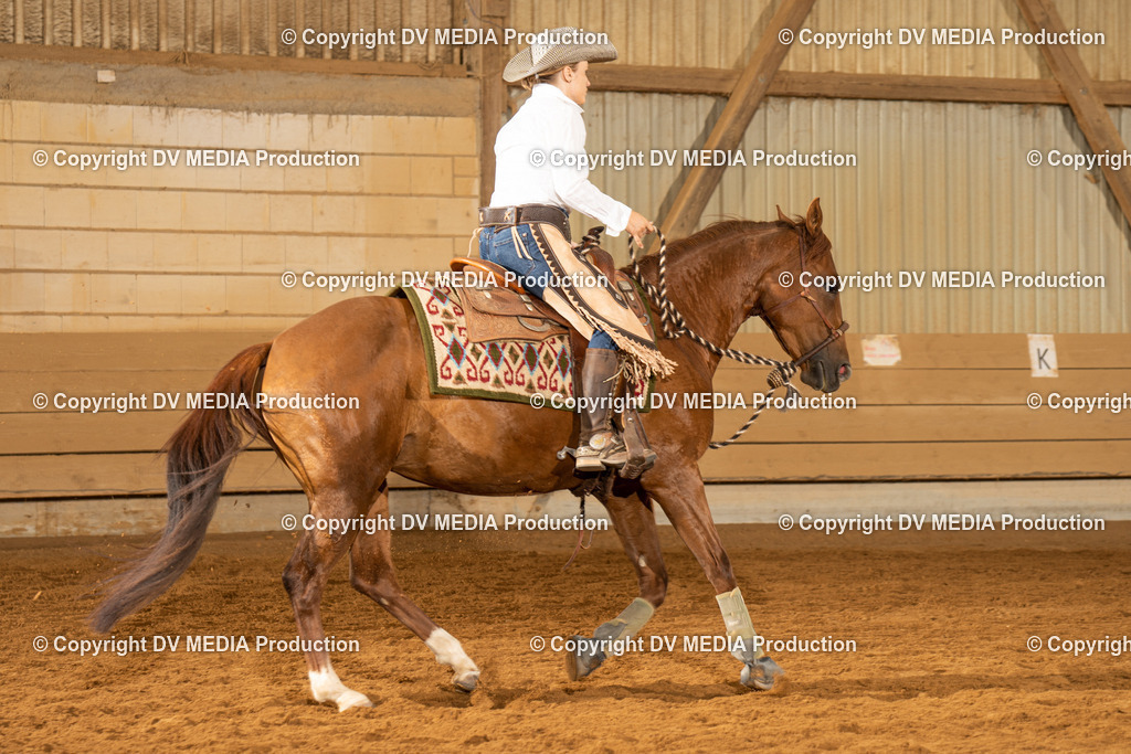 NID01504 | dv-media-shop - Realisiert mit Pictrs.com