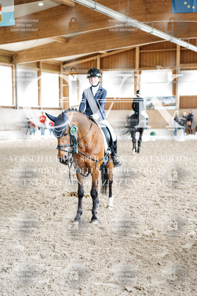CK703385 | Turnierfotografie Pferdefotografie Trier Rheinland-Pfalz Pferdesport Reitsport Tierfotografie Sportfotografie Pferdevideo Pferdevideografie Equestrianvideography equestrianphotography  - Realisiert mit Pictrs.com