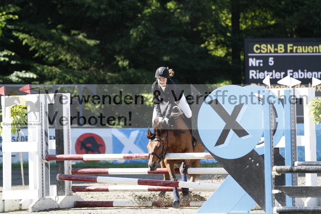 _MG_1339 | equestrian-live-com