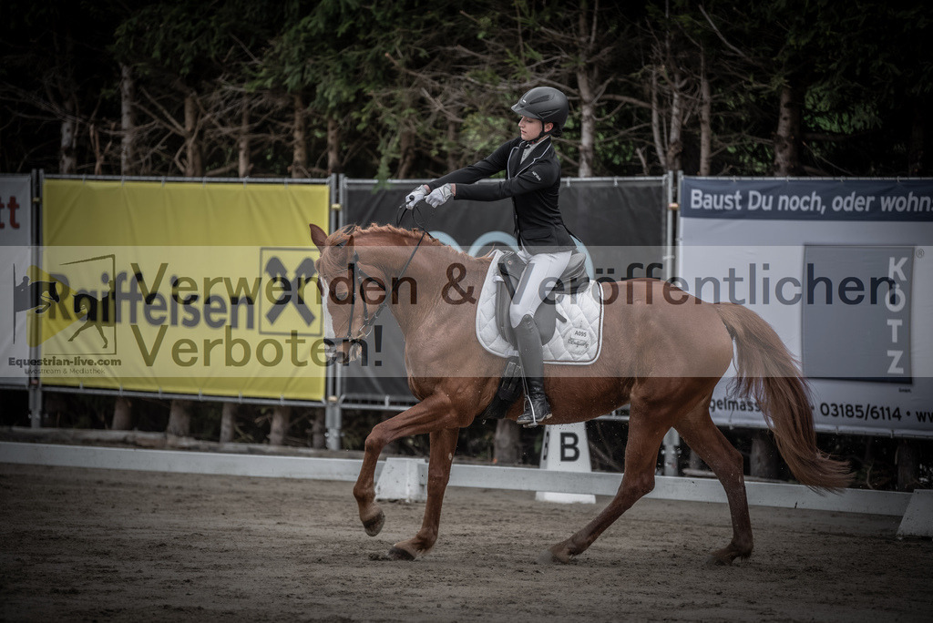 DSC_9066 | equestrian-live-com