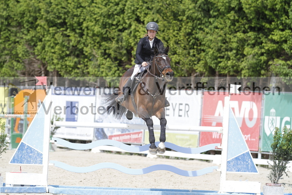 _MG_0264 | equestrian-live-com