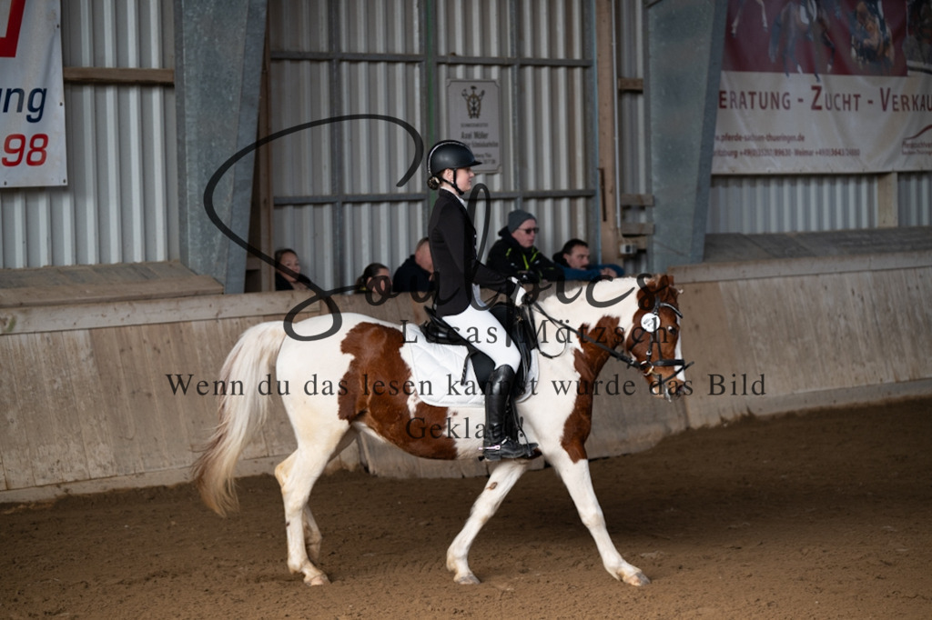 A7V05299 | Pferdefotograf