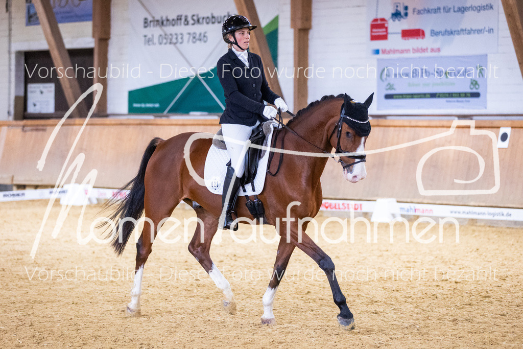 Sth-A-Dre-2St-053 | MomenTaufnahmen Pferdesportfotos