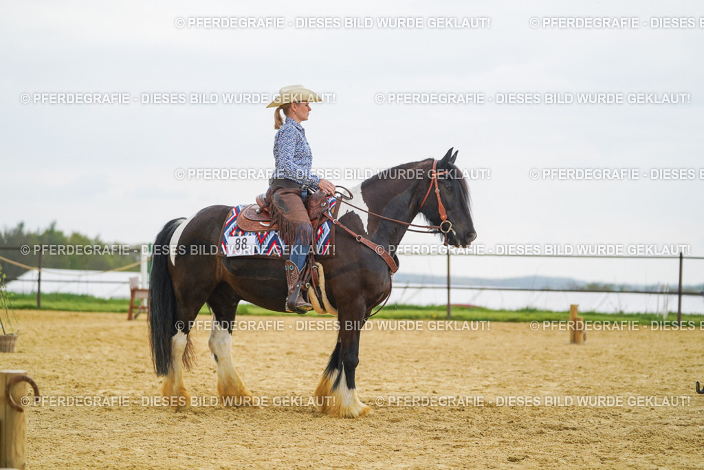 DSC08045 | Pferdegrafie