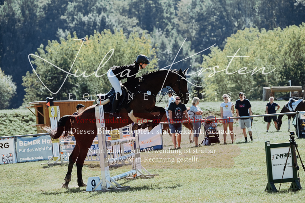 DSC_5840 | Pferde- und Turnierfotografie in Westsachsen. Pferdeportraits, Auftragszeichnungen und intuitive Kunst.