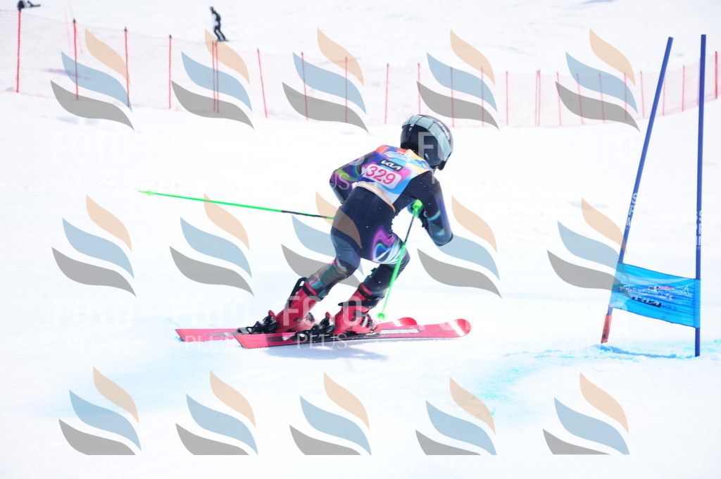 DSC_6928 | holidayphoto