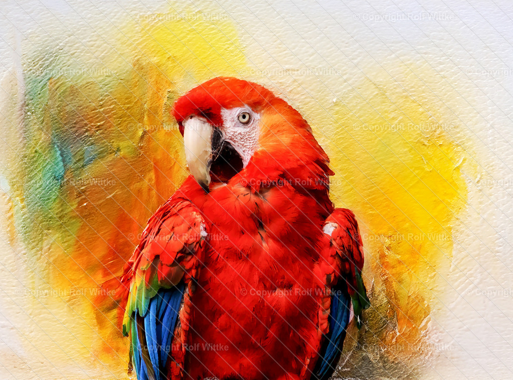 papagei3.1 | Ara in einer Portrait Fotoaufnnahme - Realisiert mit Pictrs.com