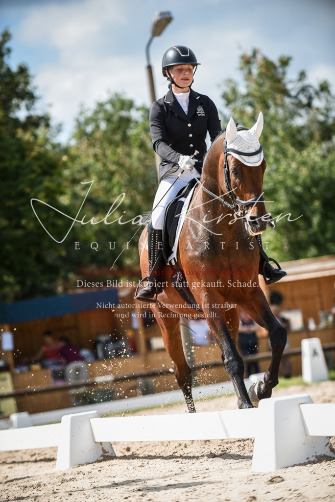 DSC_9307 | Pferde- und Turnierfotografie in Westsachsen. Pferdeportraits, Auftragszeichnungen und intuitive Kunst.