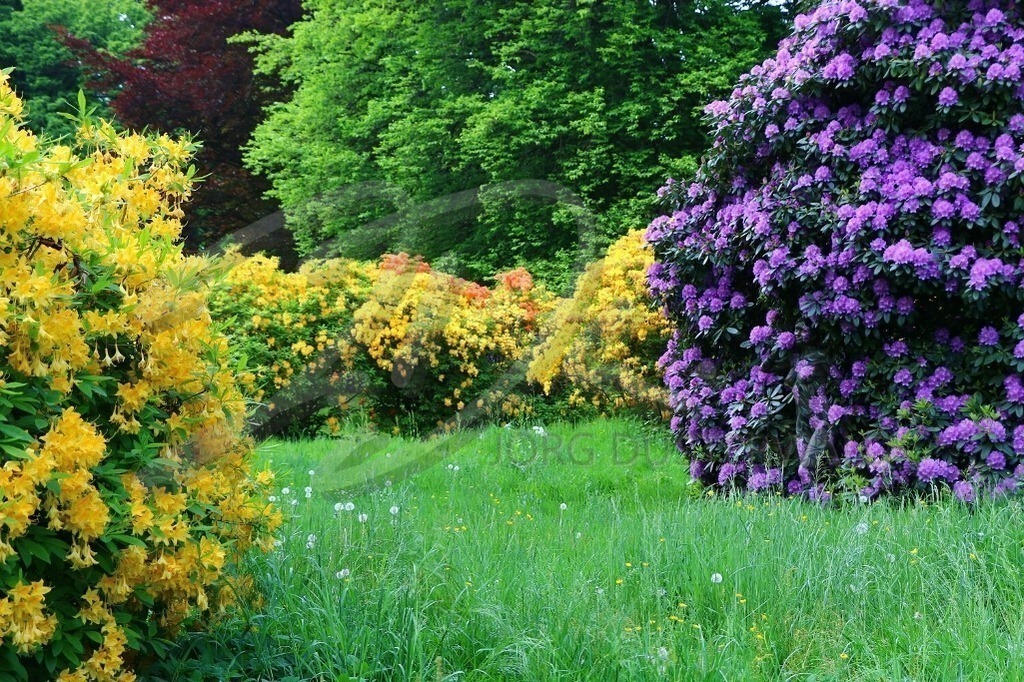 NatureArt-FLOWERPOWER_5322 | Das Gelbe überwiegt | #004 | Modell: Madeline | Foto: Anke Pallokat - Realisiert mit Pictrs.com