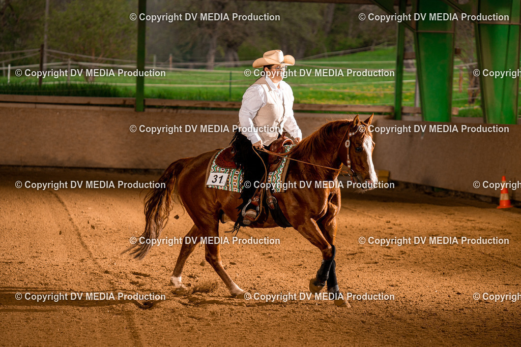 BAL01050 | dv-media-shop - Realisiert mit Pictrs.com