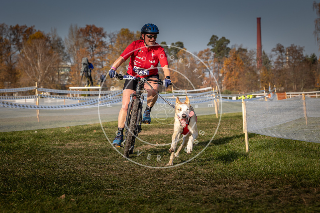 CaniXpix_0L8A7804 | Hundefotografie, Tierfotograf, Pfotenfotografie, Fotoshooting Hund, Hunde Portrait, Hundesport, Hundeportraits, Heideshooting, Hunde, Sportfotograf, Hundefotograf, Turnierhundsport, THS,  - Realisiert mit Pictrs.com