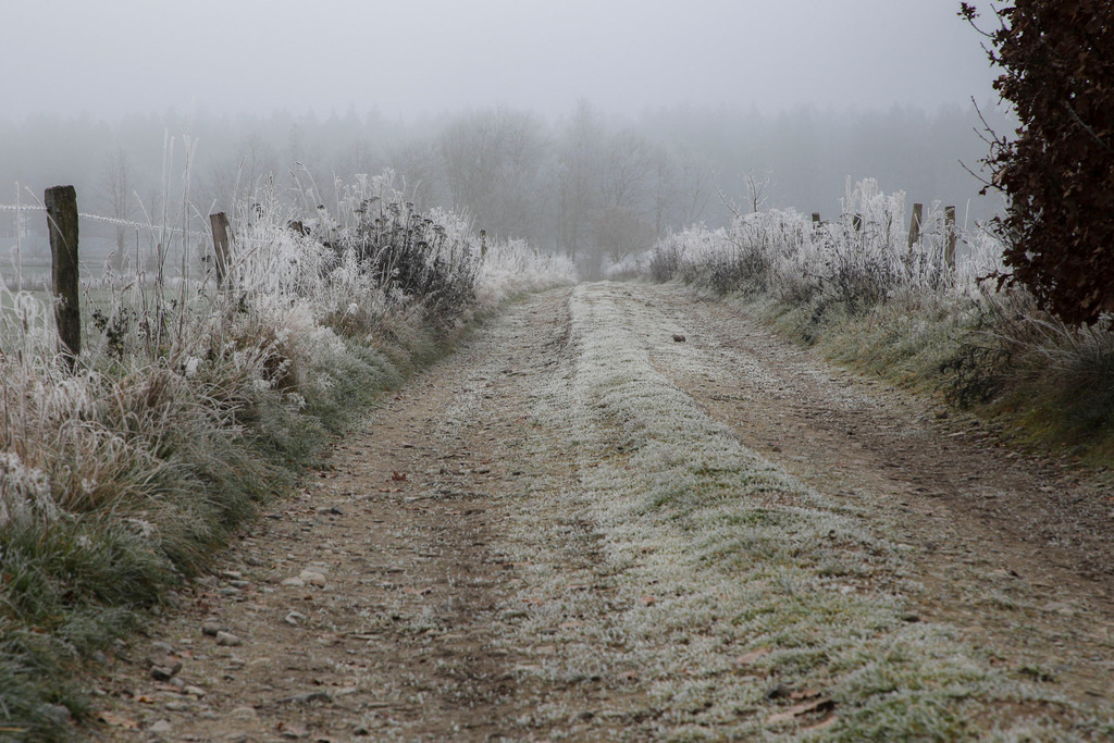 Raureif_Weisten_101222_15 | Bildergalerie von Sport-Ereignissen aber auch von weiteren spannenden Dingen - nicht nur vom Niederrhein. In Anlehnung an den bekannten Spruch von Hanns Dieter Hüsch heißt das Motto: "Niederrhein ist überall".  - Realisiert mit Pictrs.com