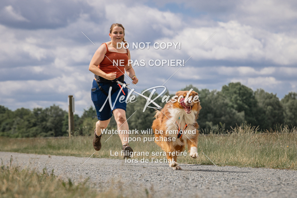nelerasche_BuHu2026_SaCC1100-1200_200 | nelerasche