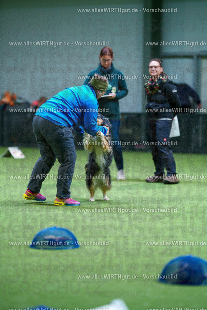 7R506482 | Professionelle Tierfotografie in Mönchengladbach von Daniel Wirth (allesWIRTHgut). Liebevolle & natürliche Bilder von Hunden & Katzen für unvergessliche Erinnerungen.