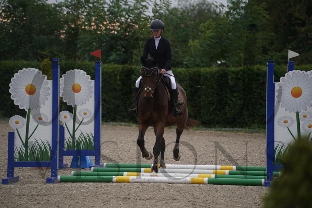 pfmagarethenhof (76) | d.tail Visions - Shop - Realisiert mit Pictrs.com