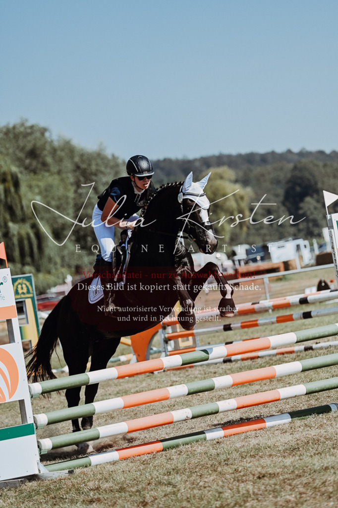 DSC_9840 | Pferde- und Turnierfotografie in Westsachsen. Pferdeportraits, Auftragszeichnungen und intuitive Kunst.