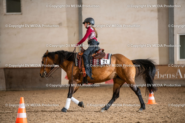 Heiligenwald Tag 1-1171 | dv-media-shop - Realized with Pictrs.com