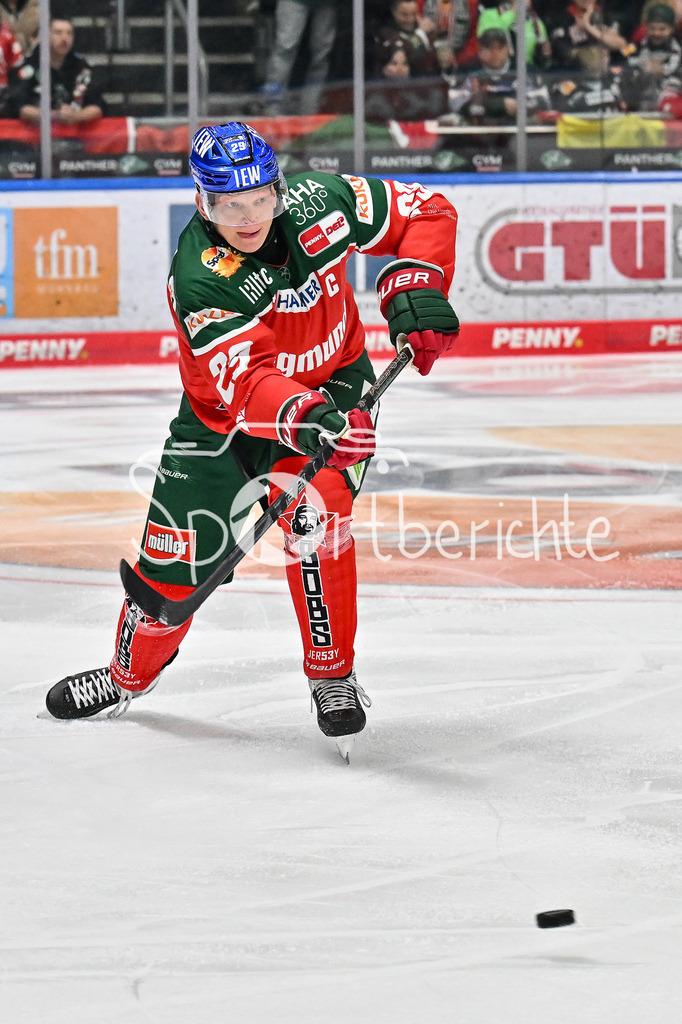 Augsburger Panther - Löwen Frankfurt | am Puck Denis REUL (Augsburger Panther #29) / Freisteller / Einzelfoto / DEL: Augsburger Panther - Löwen Frankfurt, Curt Frenzel Stadiom am 11.10.2024