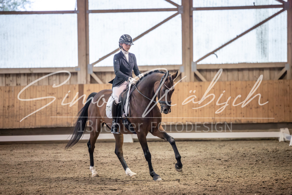 20251011-_3LI2191 | Tierfotografie Pferde, Hunde, Katzen, Haustiere.
Turnierfotografie Reitturniere, Reiten, Springreiten, Dressur in Hanau, dem Main-Kinzig-Kreis und dem Rhein-Main- Gebiet um Frankfurt