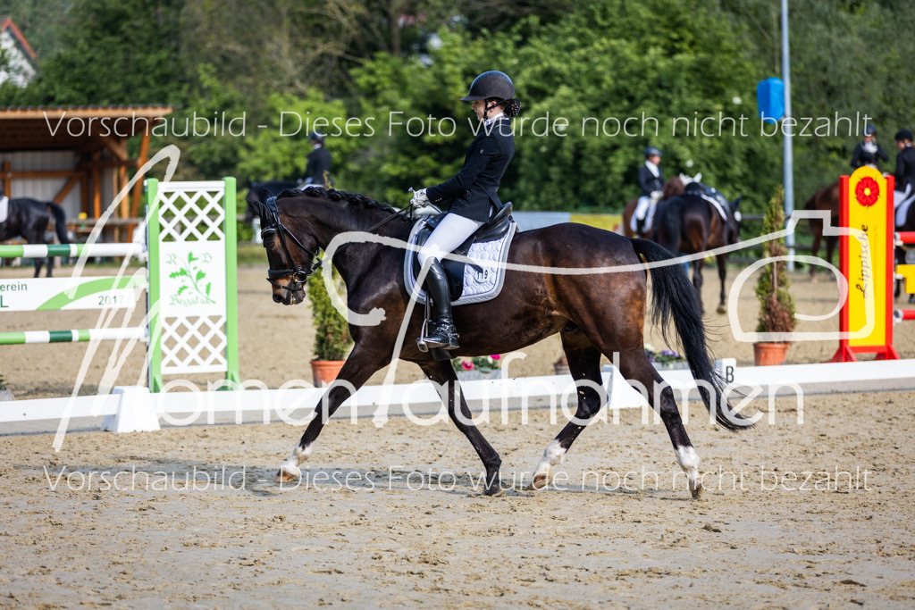 Donop24-A-Dre-116 | MomenTaufnahmen Pferdesportfotos