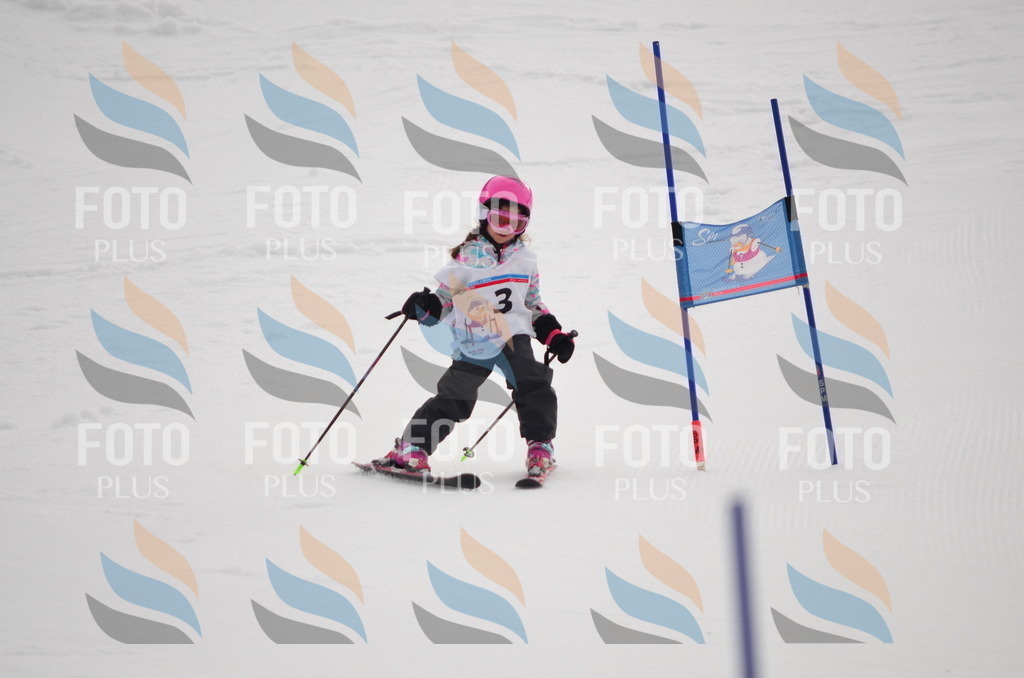 B9676 | holidayphoto