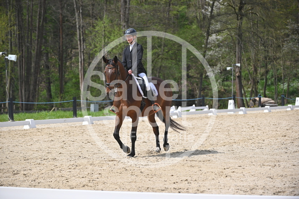 DSC_3371 | sattelsport - Realisiert mit Pictrs.com