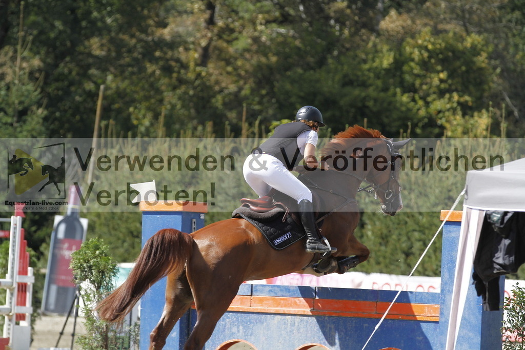 _MG_6436 | equestrian-live-com