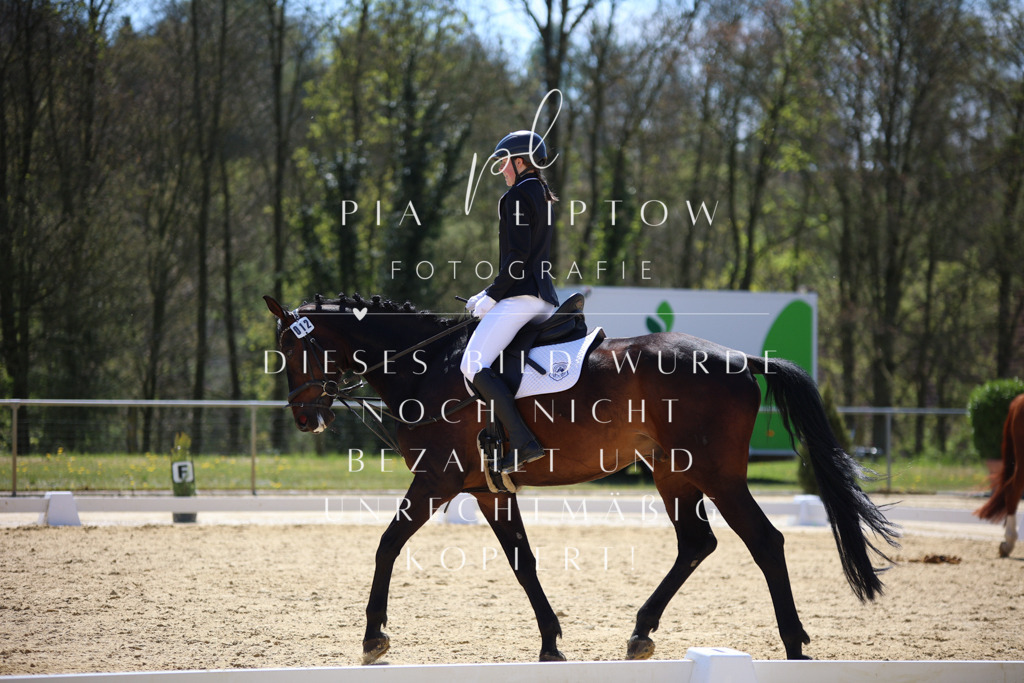 IMGT0707 | pl-fotografie