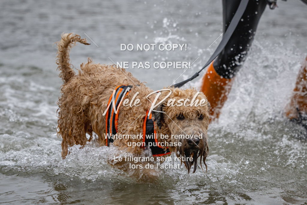 nelerasche_Hulsbeek_Sa1430-1515_502 | nelerasche